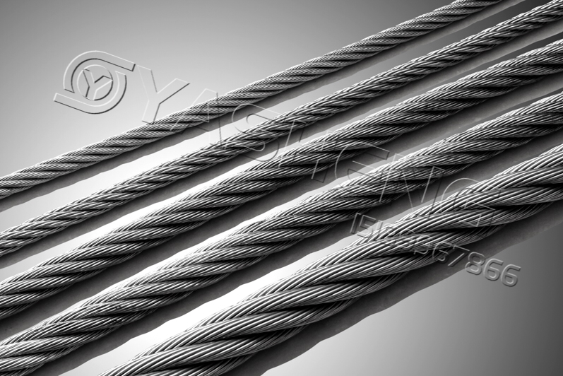 ��α�e���P䓲��|�Ă���